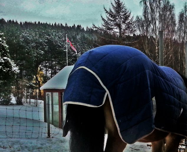 Det kan nok være godt med boblejakke for hestene også, når skyene henger såvidt over tretoppene og truer med mer snø i null grader. Blir hyggelige bilder av sånt vær, da!