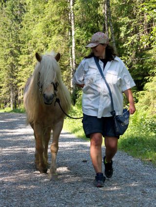 Husk å legge merke til hvordan hesten får meg til å føle! Ta inn hvor vakker han er, lukten av ham og hva han kommuniserer.
Foto: Laila Therese Jensen Kjøniksen