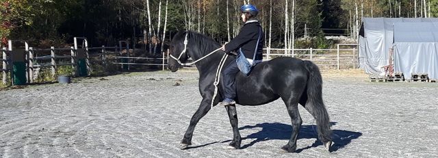 Foto: Christel Flagestad